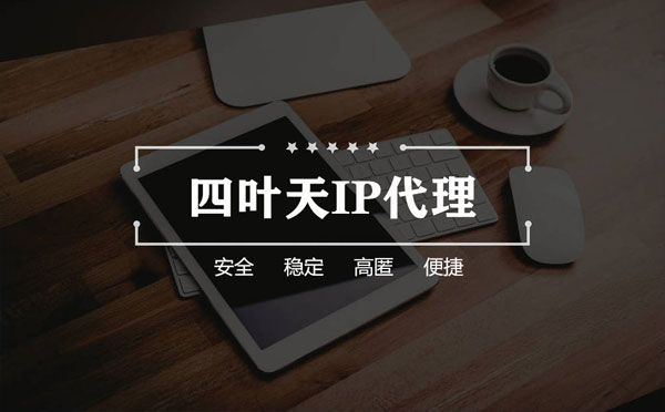 【神木代理IP】如何快速搭建代理IP？怎么检查代理的效果？